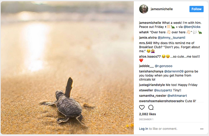 Pretty tutle photo by James Michelle