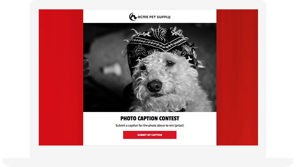 Photo Caption Contest