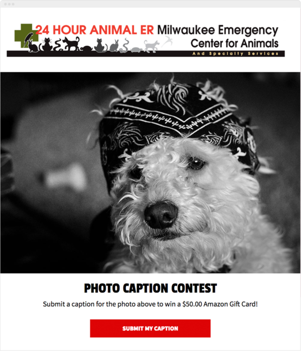 Photo Caption Contest