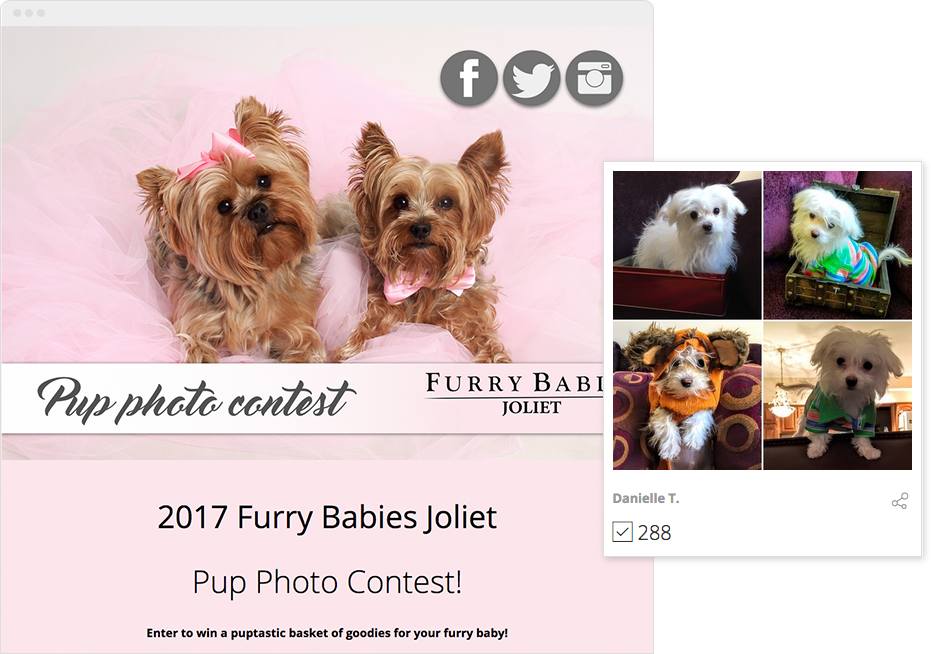 Pup Photo Contest