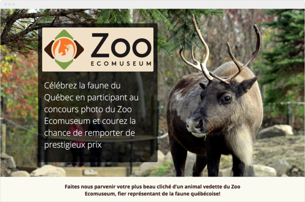 Zoo Friend-Referral COntest