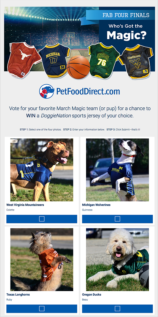 Vote for your favorite team contest