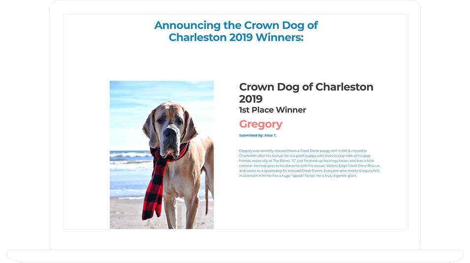 Customer Success Story: Raising Brand Awareness with a Dog Photo Contest
