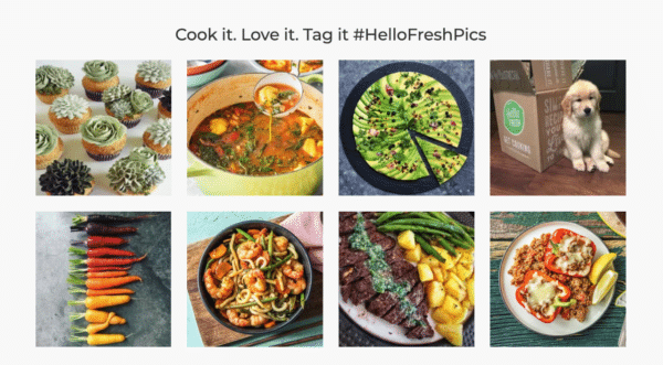 Build a system for user-generated content for Powerful Following for Your eCommerce Business