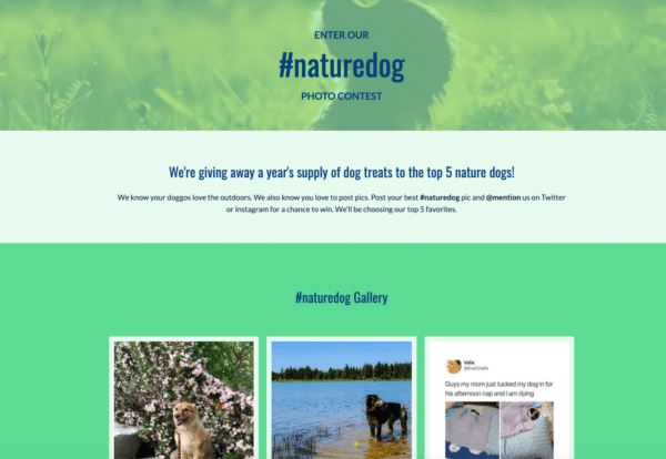 9-February-Contest-Ideas-to-Build-Momentum-For-The-Year-Ahead-naturedog-photo-contest