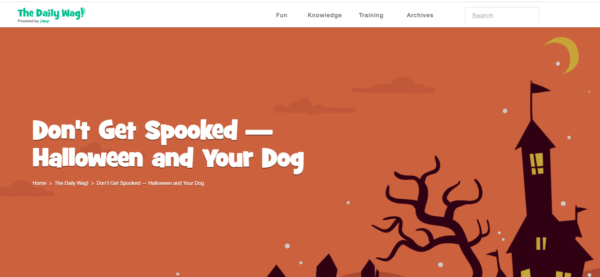 Blog-Posts-The-Daily-Wag