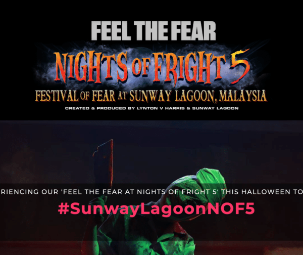 Visual Cues for Landing Page Design