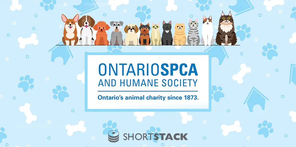 How the Ontario SPCA Maximizes its Budget with this Multi-Use MarTech Tool