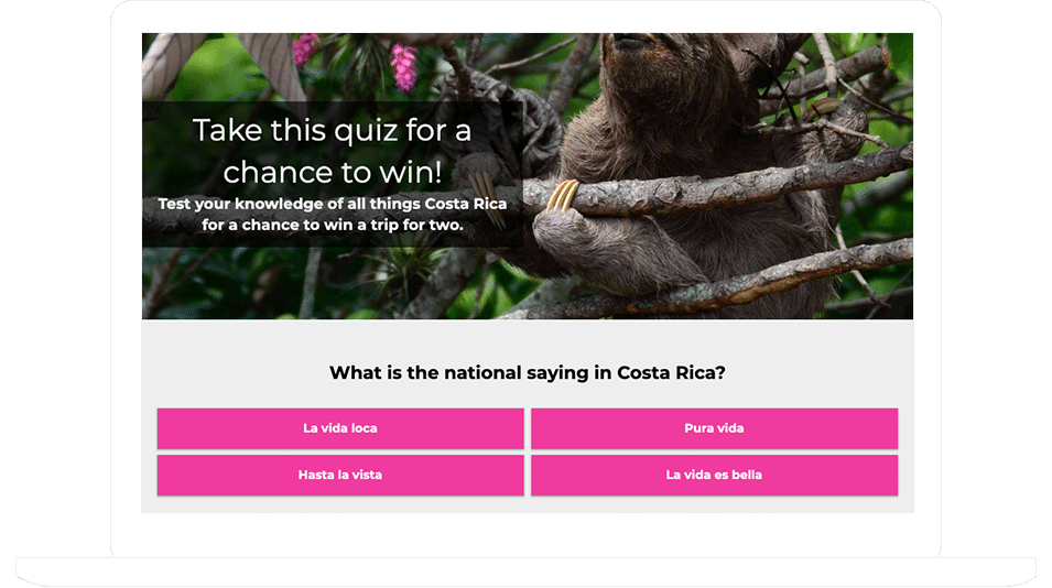 Knowledge Quiz template