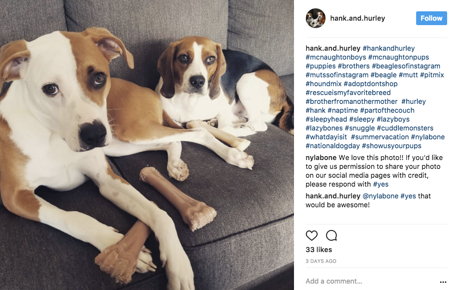 How to do an Instagram Giveaway