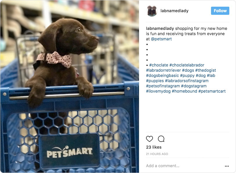 Petsmart UGC