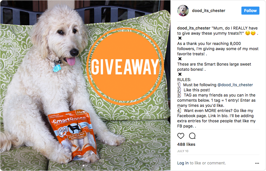 Chester the dood post