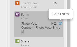 The Edit Form button in the Edit Widgets Panel.
