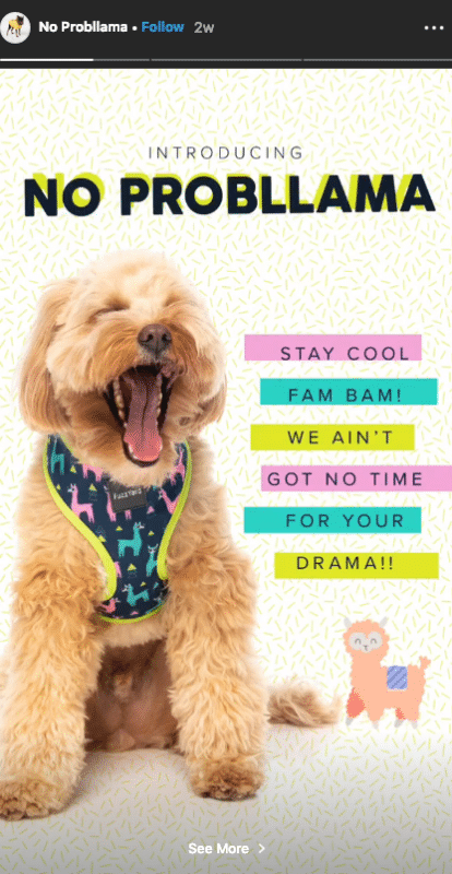 Get creative with text and visuals for Instagram Stories into your Marketing