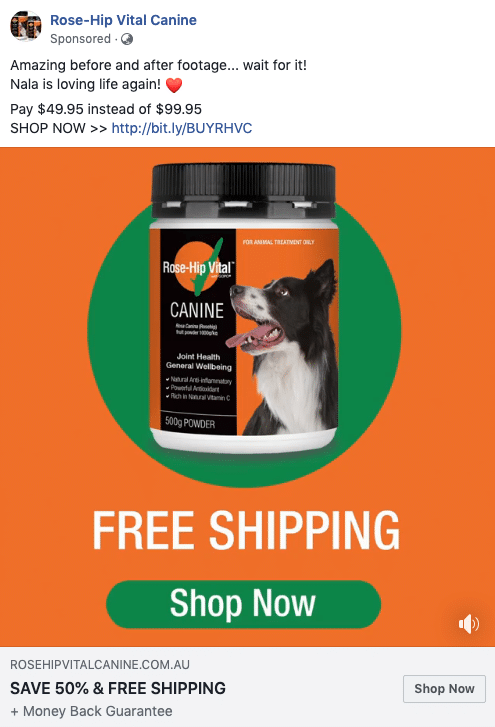 50% Pet Supplement Brand for Lead Generation Campaign