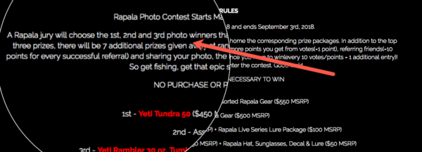 Judging panel fro contest winner