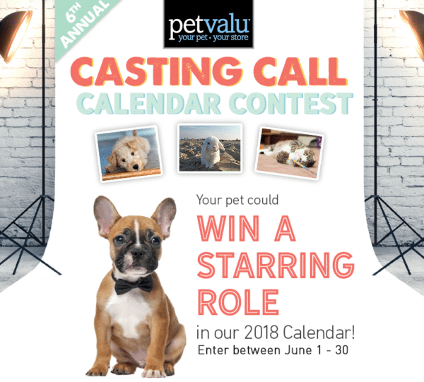 User Contribution from Petvalu for Contest Marketing