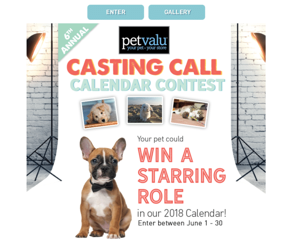 Promotional Giveaway Idea - Exposure