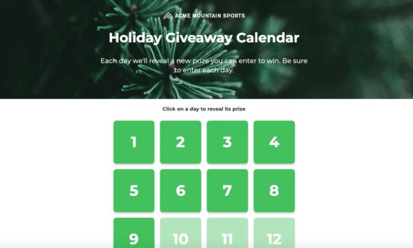 Acme Mountain Sports Holiday Giveaway Calendar Content Landing Page