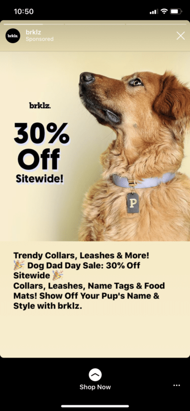 brklz Instagram ad 30% off sitewide dog dad day sale