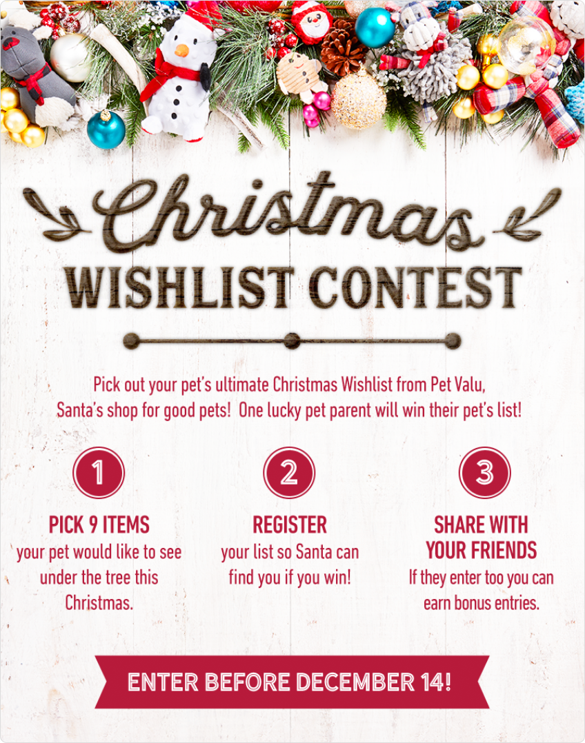 Campign built for Pet Valu by ShortStack's design services