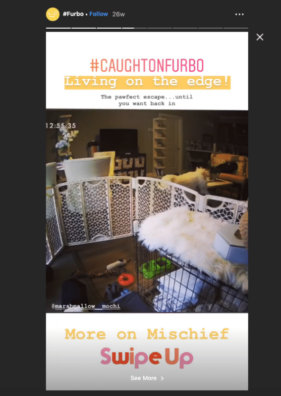 User generated content like Furbo for Skeptical Online World