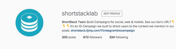 Instagram Bio Link