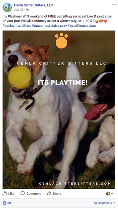 Petsitting photo contest