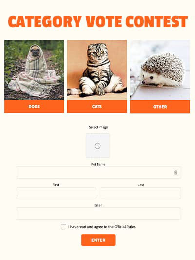 Category Vote Contest