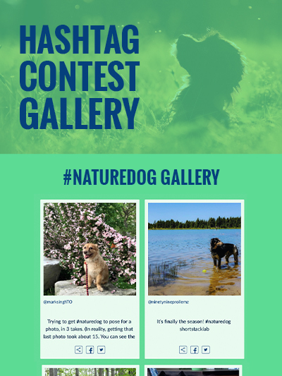 Hashtag Contest Gallery