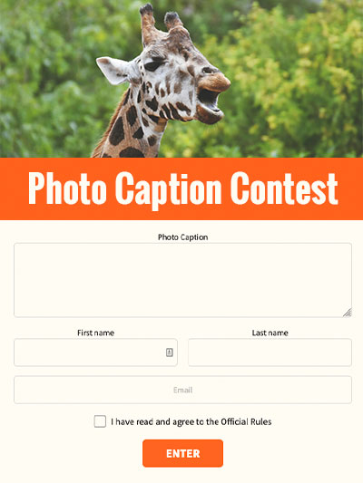 Photo Caption Contest